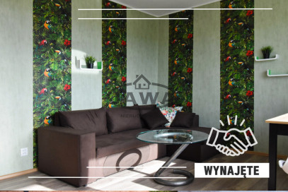 Mieszkanie Wynajem Bydgoszcz Wzgórze Wolności Czeska