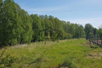 Działka Sprzedaż Łochowice