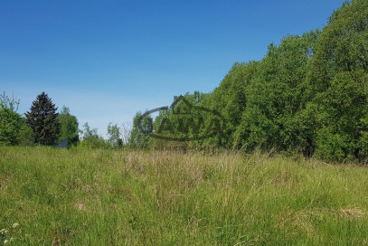 Działka Sprzedaż Łochowice