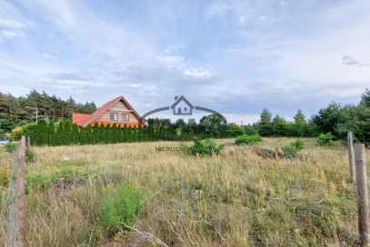 Działka Sprzedaż Tryszczyn