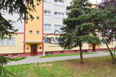 Mieszkanie Wynajem Bydgoszcz Osiedle Leśne Skromna