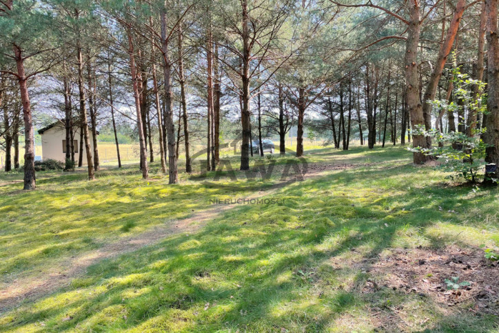 Działka Sprzedaż Wysoka 8